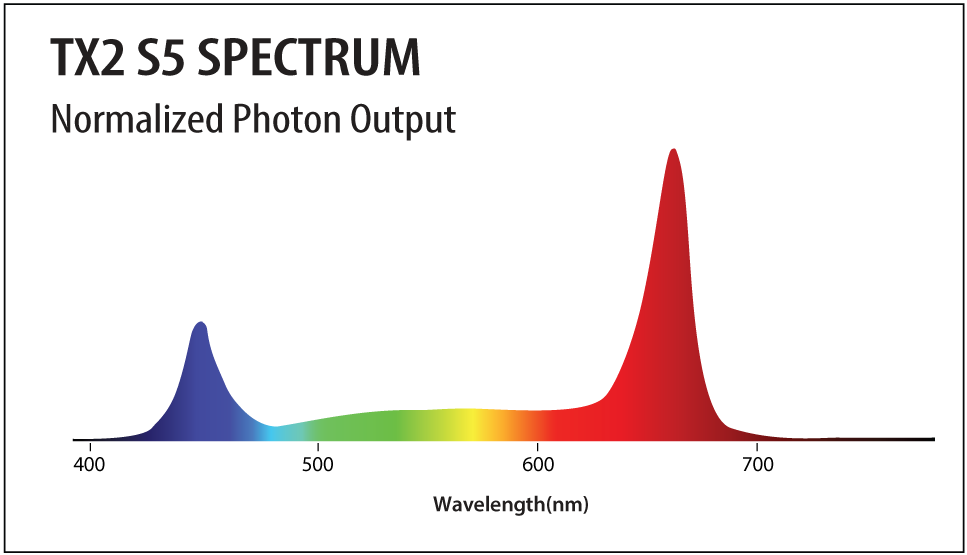 TX2_S5_Spectrum-1